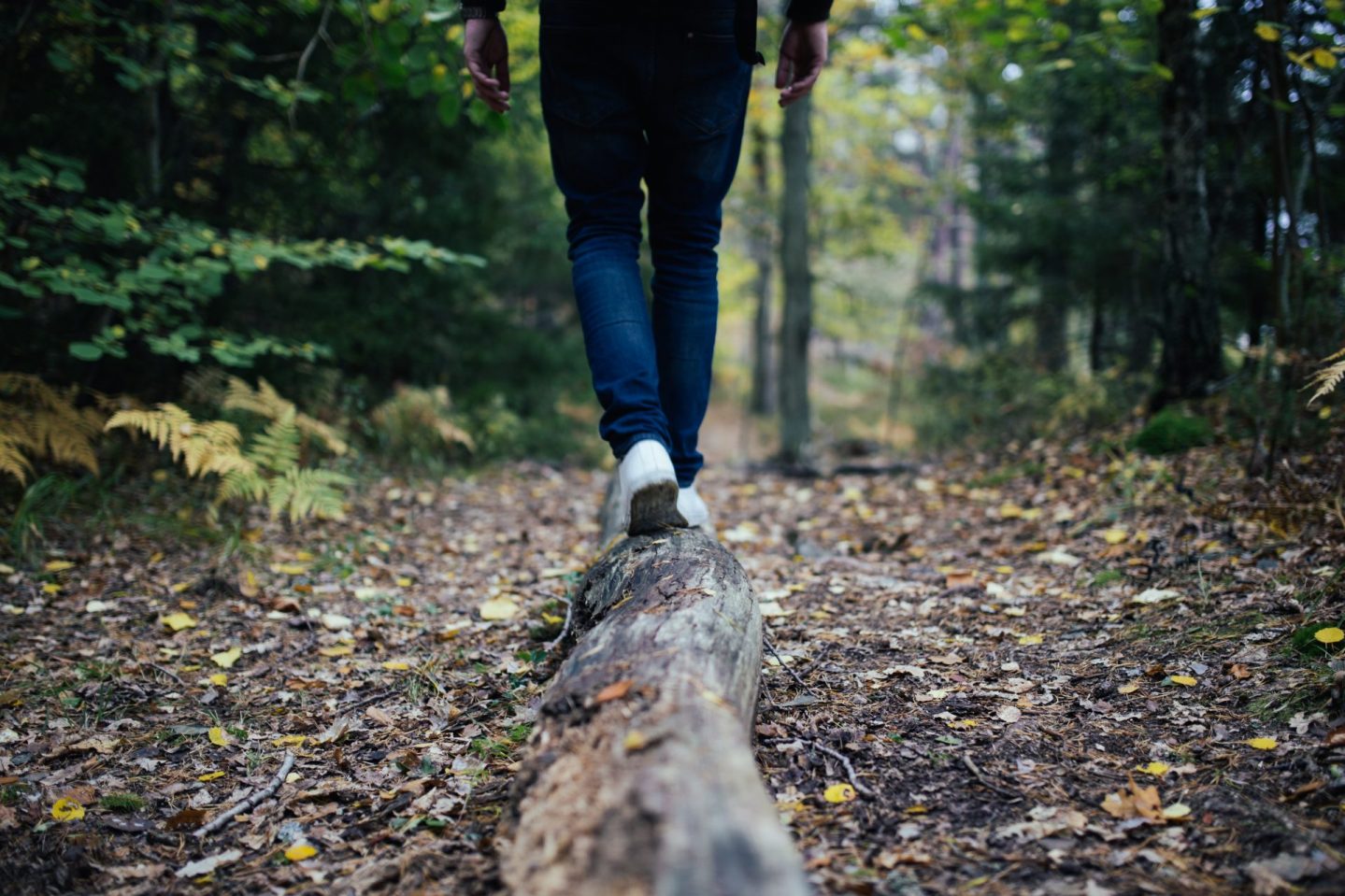 Person in forest balancing on a log