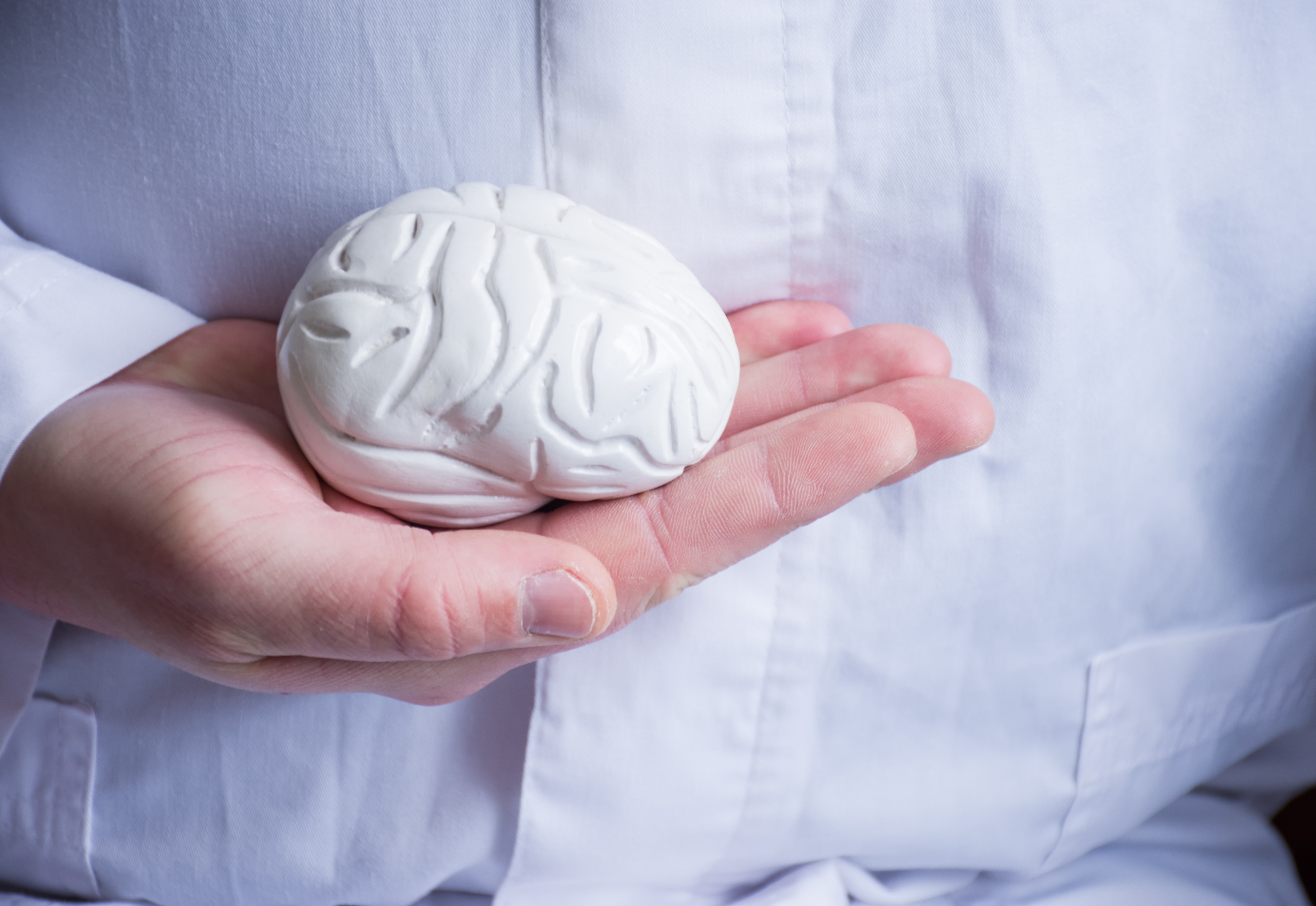 Doctor in white coat holds in his hand in palm of anatomical model of human brain.