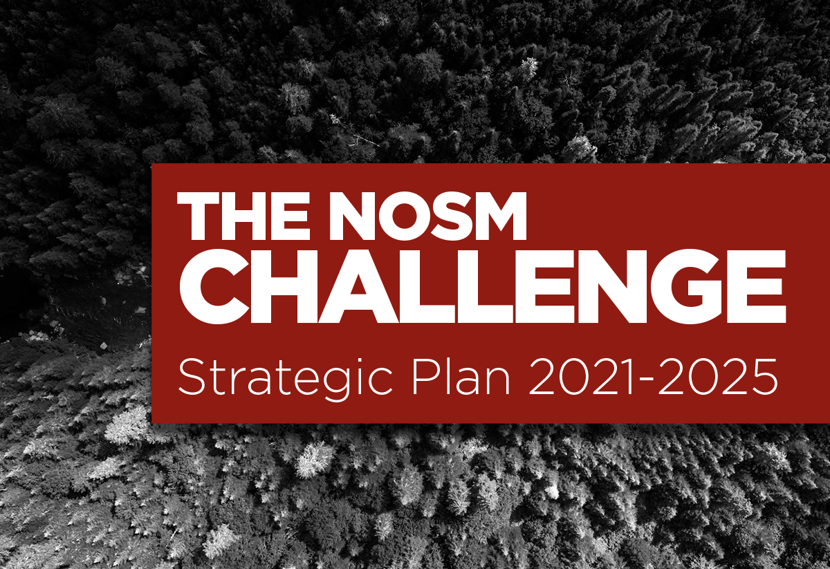 The NOSM Challenge