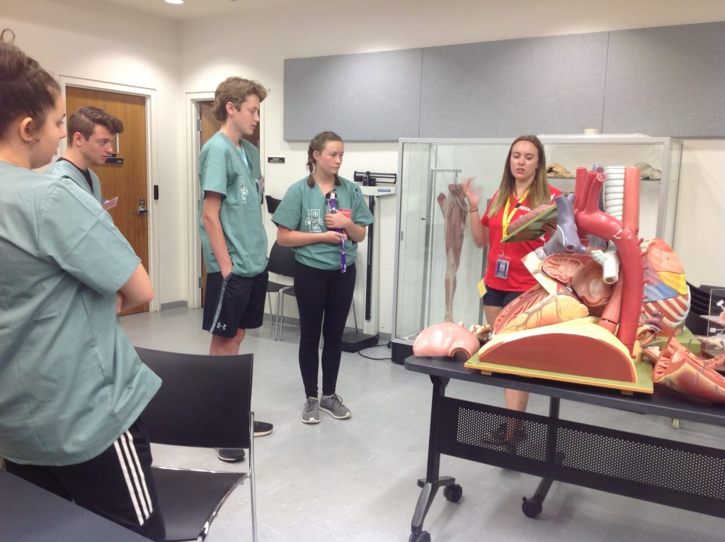 Team lead explains heart anatomy to campers using a model in lab classroom.