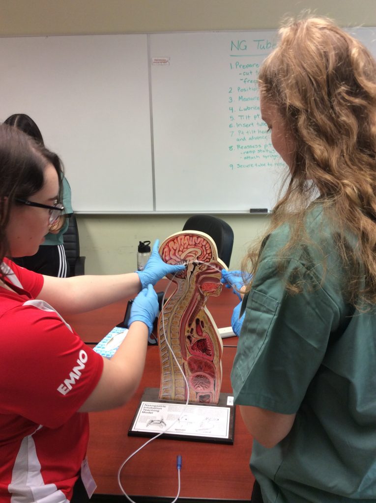 Team lead and camper demonstrate how to insert a naso-gastric tube on a cross-section model.