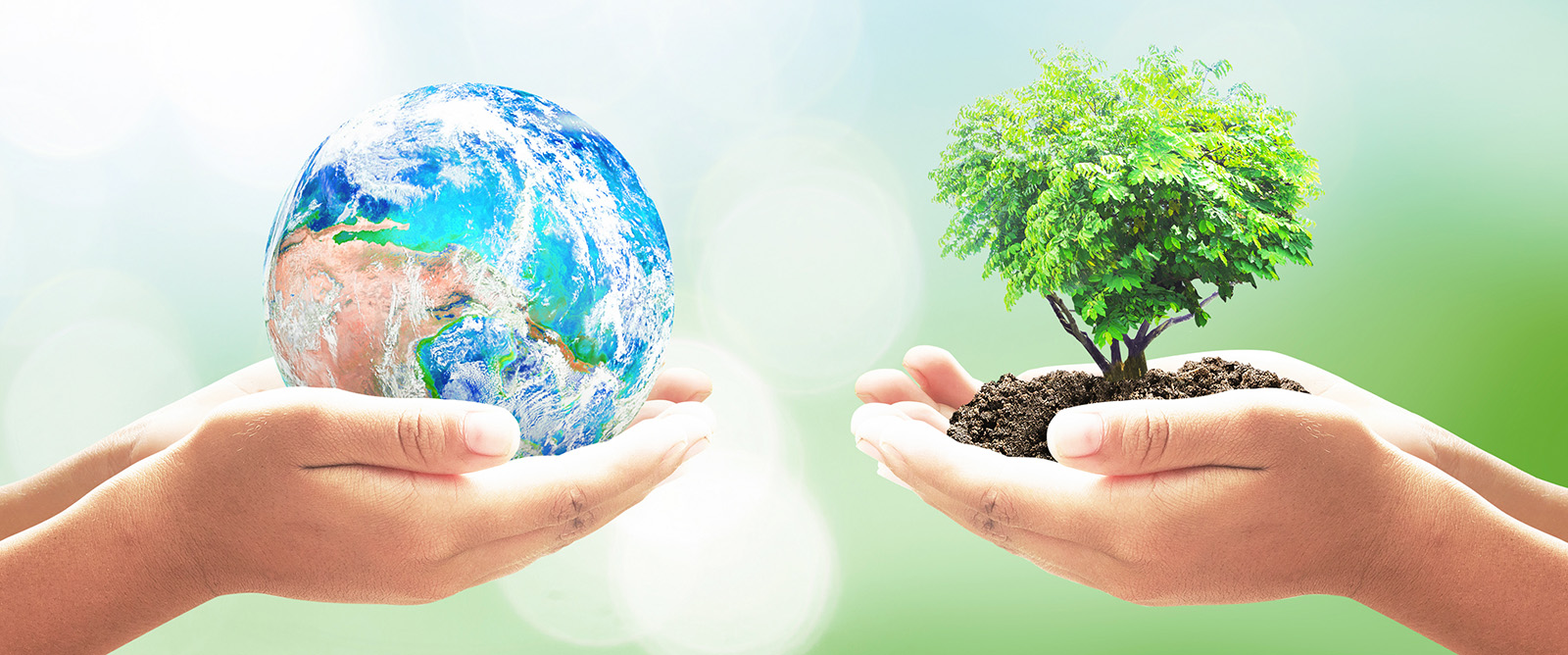 Human hands holding earth global and heart shape of tree over blurred city night background.