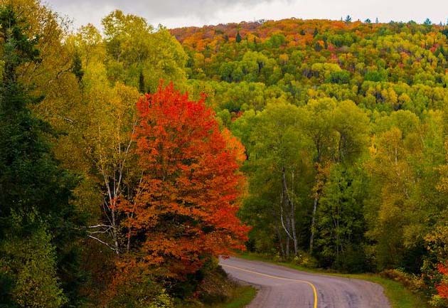 Society of Rural Physicians Canada