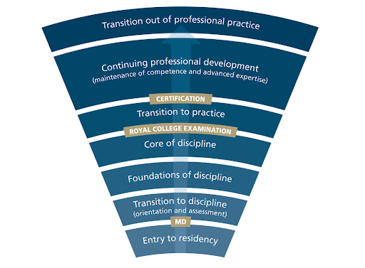Graphic showing the different stages of CBD training