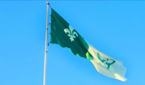 francophone-flag