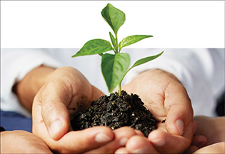 hand holding soil with growing plant indicating growth