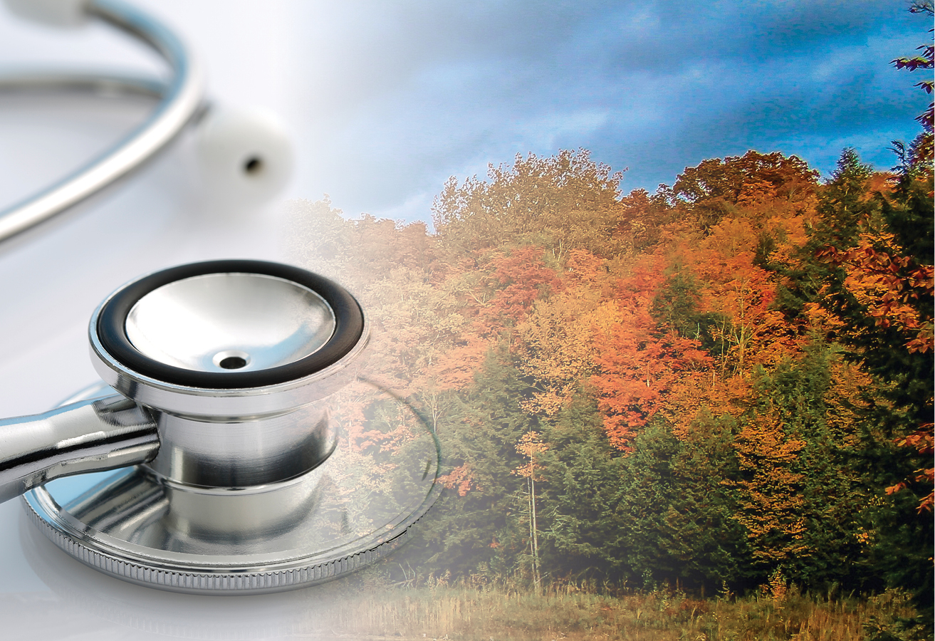 A stethoscope is in the foreground, with a mixed stand of deciduous and coniferous trees in the background. Un stéthoscope au premier plan avec une combinaison d’arbres à feuilles caduques et de conifères en arrière-plan.