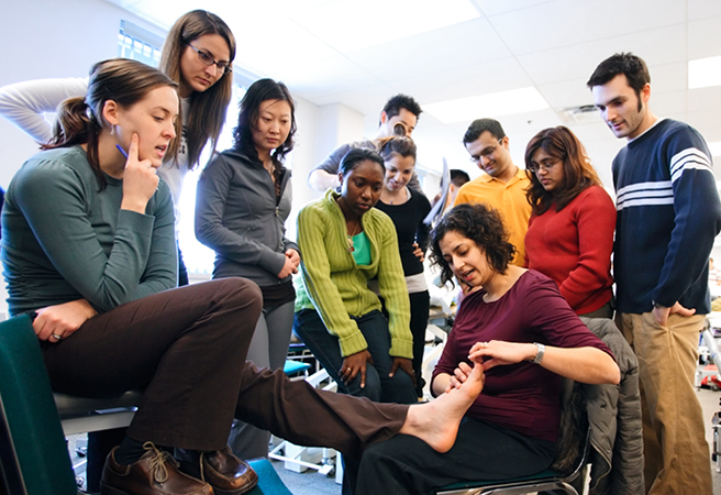 Students participate in a rehabilitation science learning activity in a bright classroom. Des étudiants participent à un apprentissage en réadaptation dans une salle de classe bien éclairée.